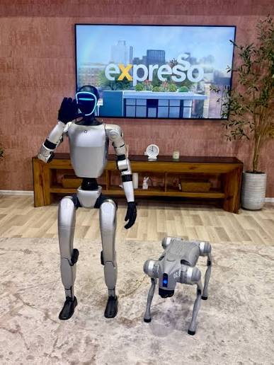 Humanoid robot beside a robot dog