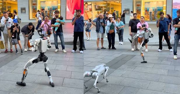Humanoid robot dancing in a crowd