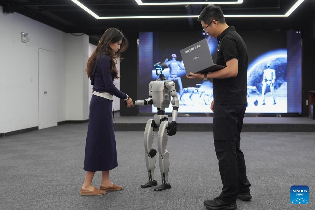 Humanoid robot shaking hands